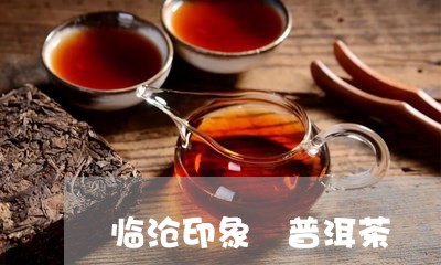 临沧印象 普洱茶/2023041079603